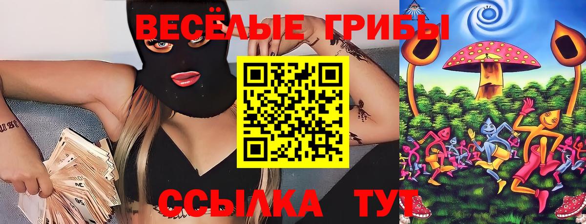 Галлюциногенные грибы прущие грибы  Вход с VPN  Галлюциногенные грибы мицелий  Каменка 